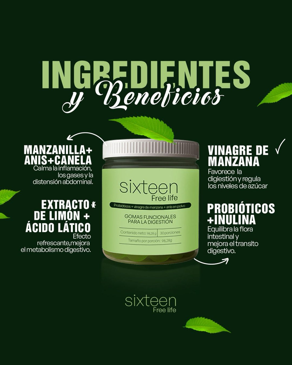 Sixteen Digestion Gummies