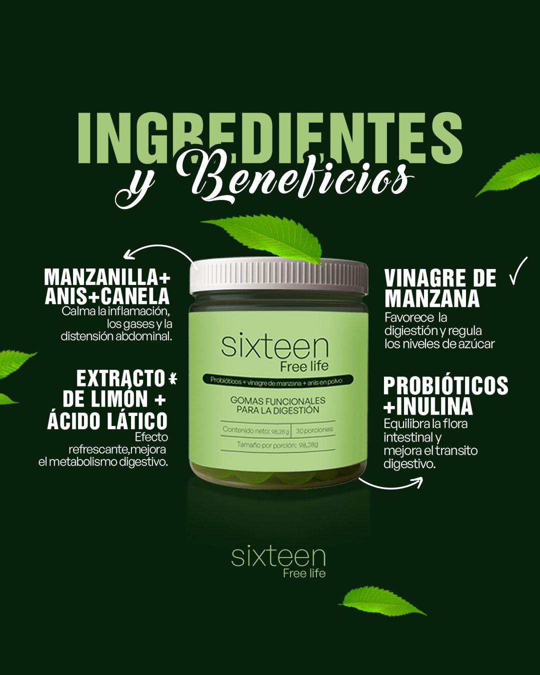 Sixteen Digestion Gummies